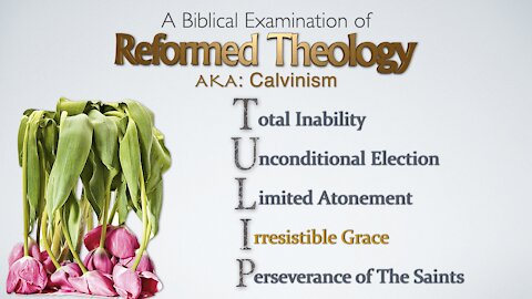 Reformed Theology 05 Irrestible Grace