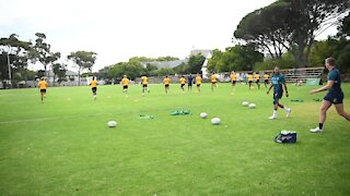 SOUTH AFRICA - Cape Town - Sevens Team media day (video) (ain)