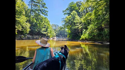 Paddling the Bouie River Lower Blueway, Hattiesburg, Mississippi