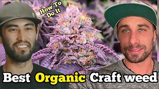 Best CRAFT Weed Ever Wiersmerica Podcast(Ep.4)