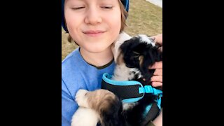 Desmond hugs a Bernadoodle puppy