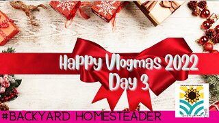 Vlogmas 2022 Day 3