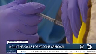 In-Depth: Mounting calls for COVID-19 vaccine approval