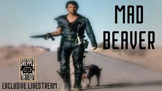 REPLAY - Patreon Exclusive THE MAD BEAVER