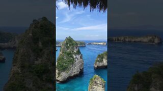 Dream view from the tree house in #nusapenida #shorts #paradise #diamondbeach