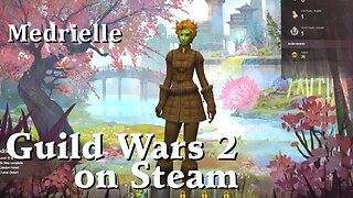 Guild Wars 2 - Medrielle - On the Way to Mount Maelstrom