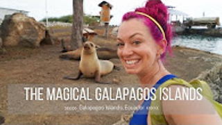 Traveling to the Galapagos Islands