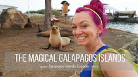 Traveling to the Galapagos Islands