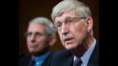 Fauci, NIH Director Discussed 'Take Down' on Herd Immunity