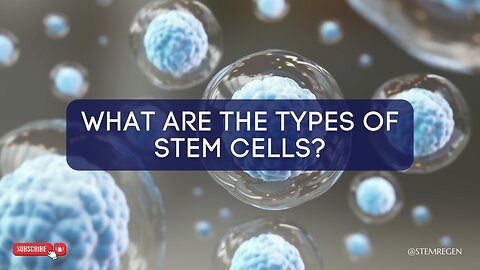 What are the Different Types of Stem Cells?