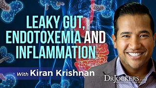 Leaky Gut, Endotoxemia, Inflammation and Microbiome Reconditioning with Kiran Krishnan