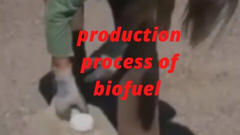 production process of biofuel by using ethanol