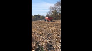 Grain Cart Corn Harvest