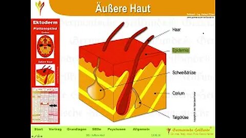 Kinderkrankheiten 3 - Äußere Haut Bronchien Kehlkopf Allergie Auge Zähne Magen Diabetes Muskulatur