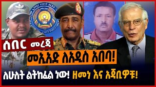 መኢአድ ለአዲስ አበባ❗️ለሁለት ልትከፈል ነው ❗️ዘመነ እና አጃቢዎቹ❗️