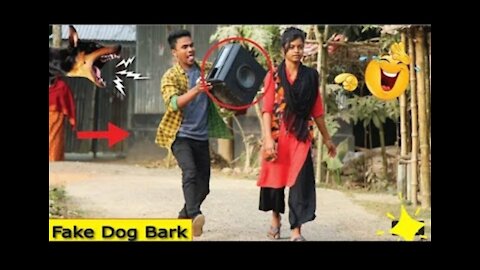 Fake dog prank video movies tadka🤣🤣🤣🤣