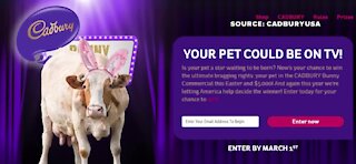 Cadbury USA searches for next spokes-animal