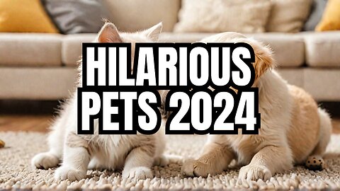 Funniest Animals 2024 😂 Best Funny Cats and Dogs 😻🐶 Part 004 Cute Baby Dogs