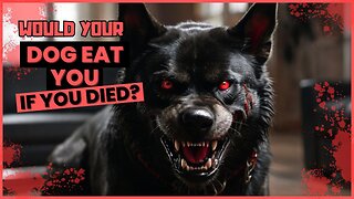 Would your dog eat you if you died?