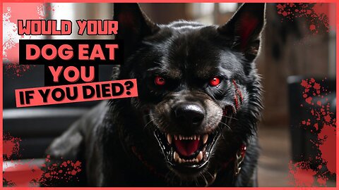 Would your dog eat you if you died?