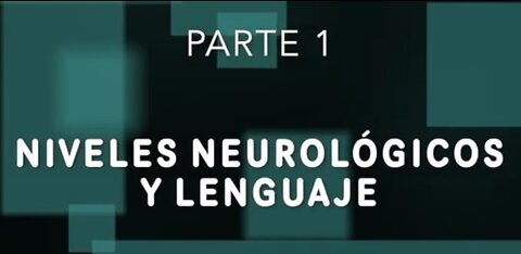 INGENIERÍA LINGÜÍSTICA 1 4 - Niveles neurológicos y lenguaje – Carme Jiménez Huertas