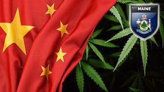 China Syndicates Running Illegal Cannabis Farms in Maine