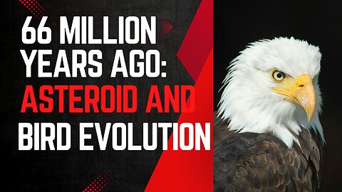 66 million years ago: asteroid and bird evolution | Dinosaurs' extinction | (Hindi)