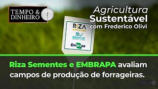 Riza Sementes realiza parceria com a EMBRAPA para avaliação de campos de produção de forrageiras.