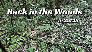 Back in the Woods | 5/25/23 | Field Research