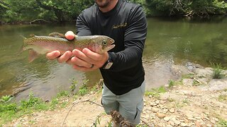 Fishing the Pigeon Forge greenway. Caught my FIRST rainbow trout!