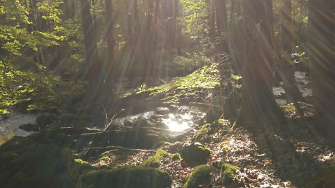 Meditative natural sounds (water) with beautiful peaceful pictures