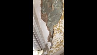 Peeling wallpaper