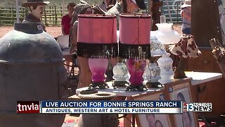 Bonnie Springs ranch items sold at auction
