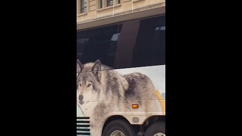 STAGE LEFT EXIT | WOLF MOTOR COACH