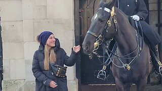 THE HORSE KISSES ONE TRYS TO BITE THE OTHER #horseguardsparade