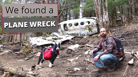 We Found a PLANE WRECK in the Mountains | Asheville, NC