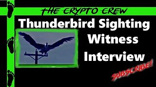 Thunderbird Sighting | Witness Interview