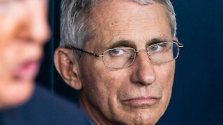 Did Fauci Take a Hit? | Guests: Matthew Bellis & Daniel Horowitz | 6/3/21