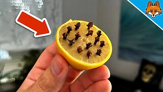 Put CLOVES in a Lemon and WATCH WHAT HAPPENS💥(Mind Blowing)🤯