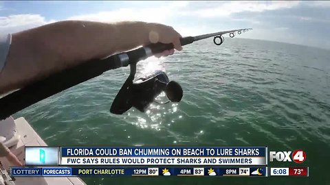 Florida preparing statewide ban for chumming near the shore