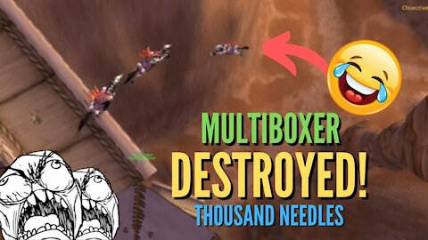 WoW Multiboxer Destroyed HAHA! Life of a GANKER, Thousand Needles