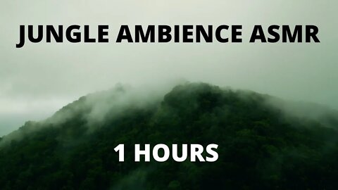 Jungle Forest Ambience ASMR, Reduce Stress, study and relax - 1 hour