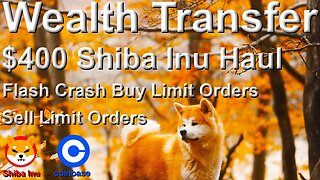 Wealth Transfer $400 Shiba Inu Coinbase Haul - Flash Crash Buy Limit Order + Sell Limit Orders