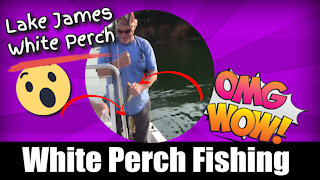 Perch Fishing on Lake James