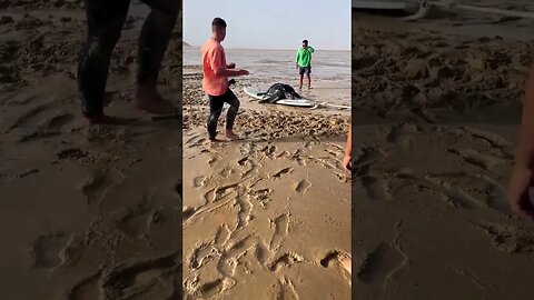 Guys in Morocco Help a Stranded Leather-back Turtle Back to Sea #humanityinspired #humanity