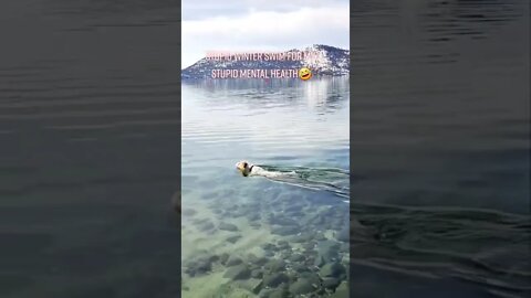 Ares Jack Russell did a stupid yet health boosting winter swim beautifully