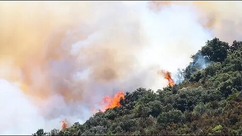 LIVE: Gennadi Greece as wildfires are approaching the village again, hotels under threat of burning