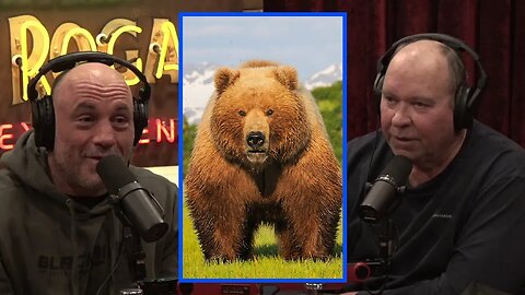 Bear Stories | Joe Rogan Experience w/ John Reeves