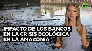 Grandes bancos destruyen la ecología amazónica