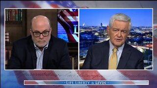 Newt: We're Watching Political Theater Disguised As Law Enforcement